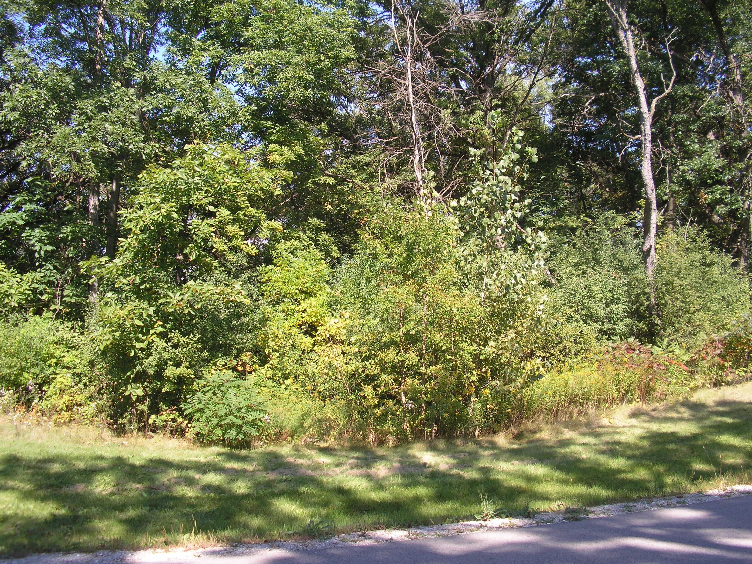 Woodland Waters Newport Development Corp.